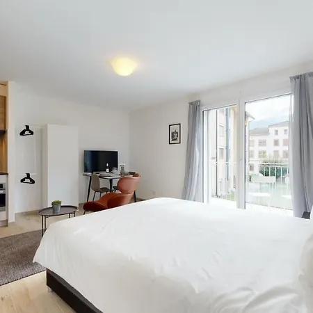 Apartment Furnished Studio #101 - Swiss