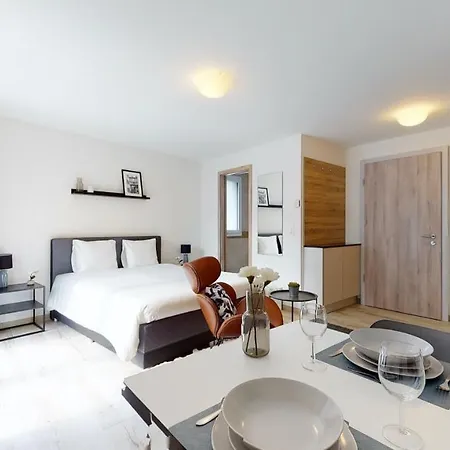 Furnished Studio #101 - Swiss